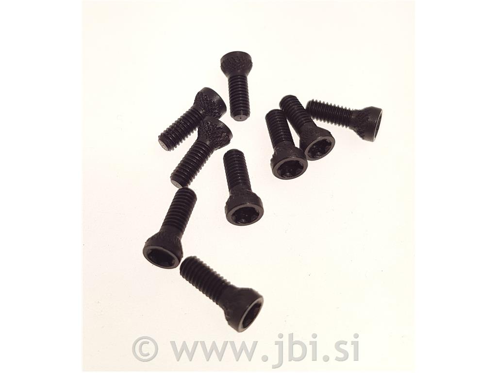 PR038 Torx Grip Screw