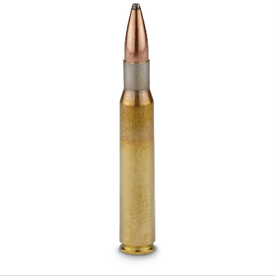A-364 30-06 Springfield PSP BT 10,7g/165