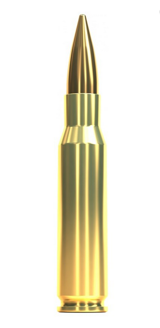 S&B .308Win (7,62x51) FMJ Subsonic 13g