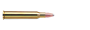 5,6x50 R Mag. T 3,6g /55grs 21164