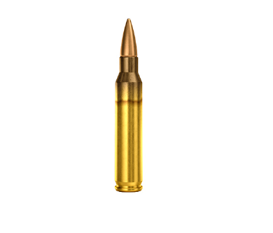 Magtech .223 Rem (55gr) FMJ 50/1