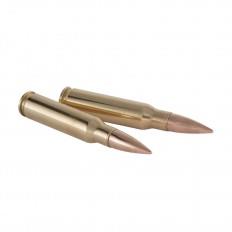 Winchester .223 Rem. FMJ 3,56g/55gr 20/1