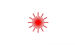 Holosun Laser RML Red